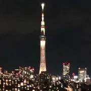 しましまの画像