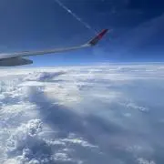 uniの画像
