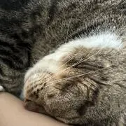 もっちー