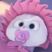 ぽんの画像