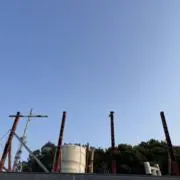 うめの画像