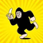 ゴリラの画像