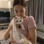 nyan