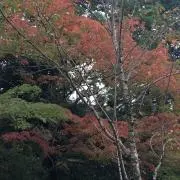 なんくる