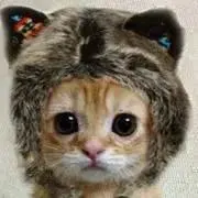 nattu☆の画像