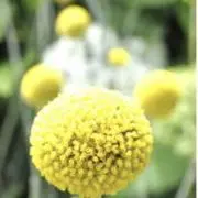 Rinn11  フォロー割始めました♪の画像