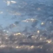 ゆゆまる⭐︎の画像