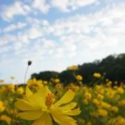 みいなの画像
