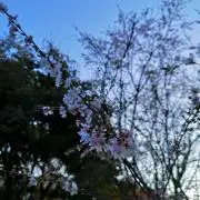 モンペカモン　プロフ必読の画像