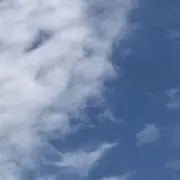 ただのぶかつの画像