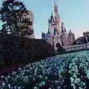 mの画像
