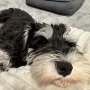 なりちゃその画像