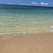 ゆ⭐︎即購入OK⭐︎の画像