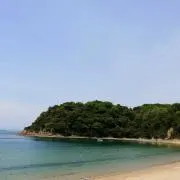奏音の画像