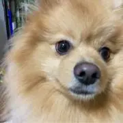 原颯人の画像