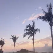 ma＊の画像