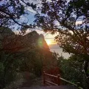 てつの画像