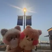 くまの画像