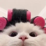 マルちゃんの画像