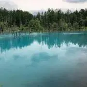おつまみの画像