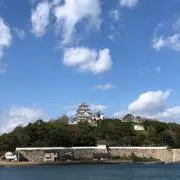 まりりんの画像