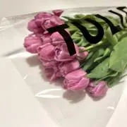 あいる プロフ必読の画像