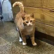 太郎の画像