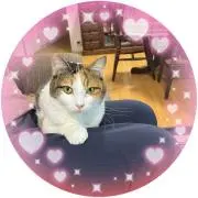 みぽりんの画像