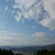 まこの画像