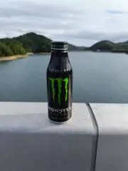 亀獣の画像