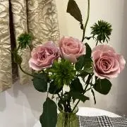 Snheartの画像