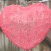 miiの画像