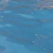 *てぃーの画像