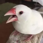 ぬまちゃん