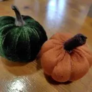 もっちゃんの画像