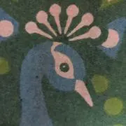 ささの画像