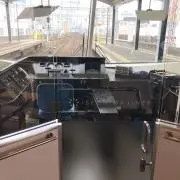 むらさきちゃんの画像