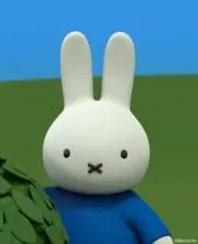 Misoの画像