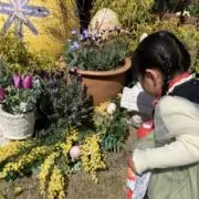 むーらんの画像