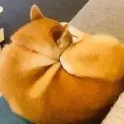 めいの画像
