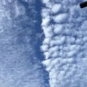 はますの画像