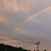 あんこ