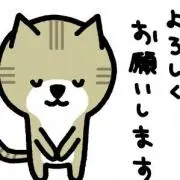 ☆ナインバレー★の画像
