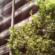 ソル