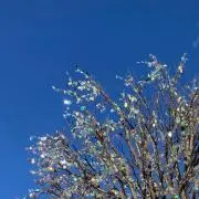 Uの画像