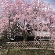 ブサイク　プロフ必読の画像