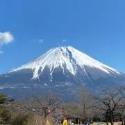 りんの画像