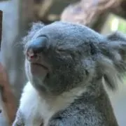 non