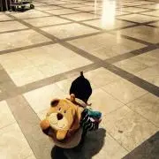 yukikoyasanの画像