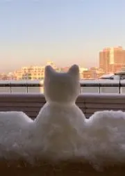 pinoの画像